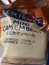 サヴァンシアF ミニカマンベール10個 250g