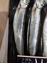 岡田水産 子持ししゃも(3L)10尾