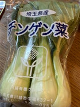 川越有機 チンゲン菜