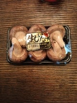 サンロン 生椎茸