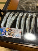 ヤマジン ししゃも丸干し 10P