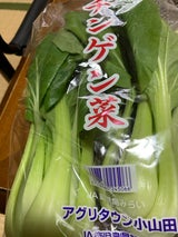 JA鹿児島 チンゲン菜