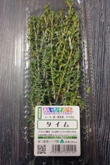 東三温室 タイム 20g