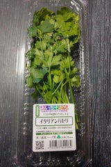 東三温室園芸 イタリアンパセリ