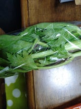 JAとぴあ セロリ 1P