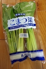 東神 茨城産こまつな 1P