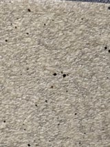 廣済堂 J25ミニライターPSC