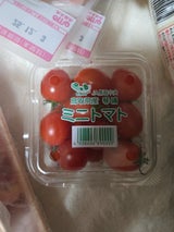 鳥取中央 ミニトマト