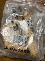 JA青森 わけあり長芋カット 袋 600g