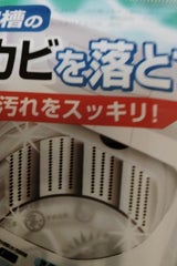 不動 洗濯槽黒カビとるぞー 55g