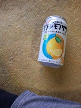 ニッポンのシン・レモンサワー 缶 350ml