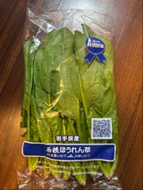 JAいわて 西根ほうれんそう 1P