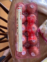 垣善 地養卵 純卵 10個