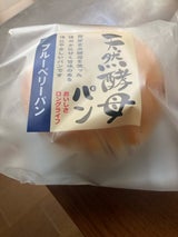 食祭館 天然酵母 ブルーベリーパン 袋 1個