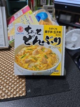 ヒガシマル ちょっとどんぶりうすくち 4P 56g