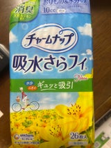 チャームナップ 吸水さらフィロングPL消臭 26枚