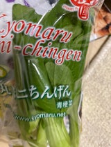 京丸園 ミニちんげん 3P