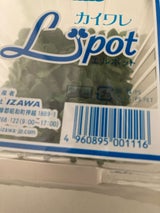 井澤 かいわれ Lポット 140g