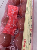 垣善 はつらつ卵 10個