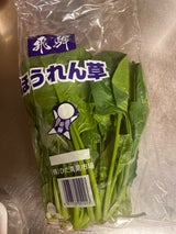 ひだ高山 ほうれん草