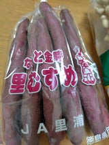 JA全農とくしま県本部 鳴門金時 500g