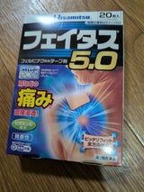 フェイタス5.0 20枚