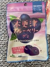 カネカ食品 木更津ブルーベリーグミ 40g