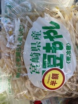立花食品 太もやし 200g