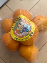 ダイプラ タテラベルみかんネット L