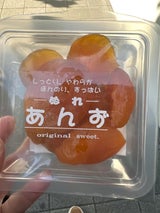 マスイ製菓 ぬれあんず 150g