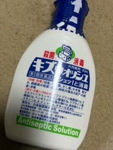 キズウォッシュ 80ml