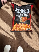 餃子計画 冷凍 生餃子 大 20g×50