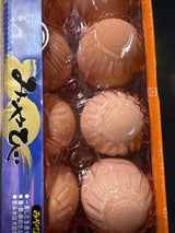 宮崎デリカ 日向の地卵 みやび 10個