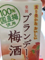 楽園 ブランデー梅酒 パック 500ml