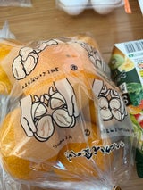 丸善商事 みかん 塩みかん 熊本 1kg