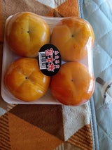 JA奈良 奈良西吉野産柿スタンドパック 1P