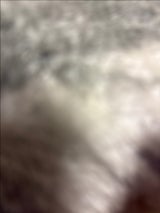 グレンフィディック 12年 700ml