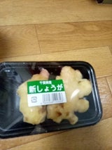 ワタナベ 千葉県産新生姜 100g