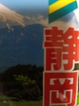 荻野 静岡茶 100g