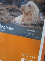 極東 ムツゴロウ 国語 12行 リーダー L10R