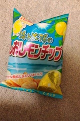 さわらび しおレモンチップ 120g