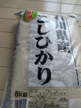 名古屋 石川県産コシヒカリ 5kg