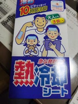 東和 熱冷却シート10時間 16枚