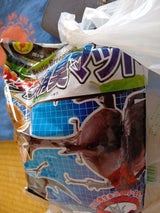 フジコシ 防ダニ消臭マット A-130 4.8L