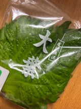 大洋 大葉 M 1束用袋