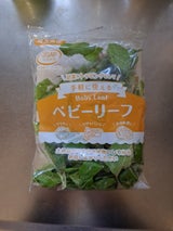 マルコー ベビーリーフ