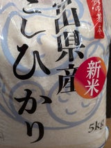 大和 富山こしひかり 5kg