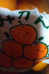 信和 みかん用袋