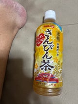 ポッカサッポロ さんぴん茶 PET 600ml
