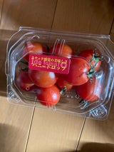 井出トマト農園 ハニードロップ ミニトマト